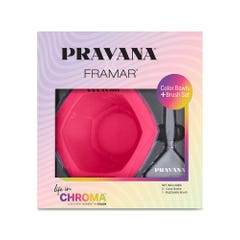 Pravana Framar Color Bowl + Brush Set
